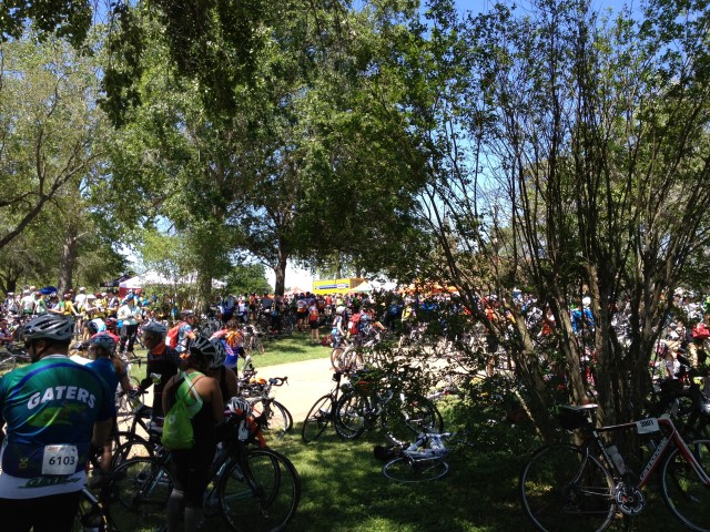 IMG_3817 (Custom).JPG