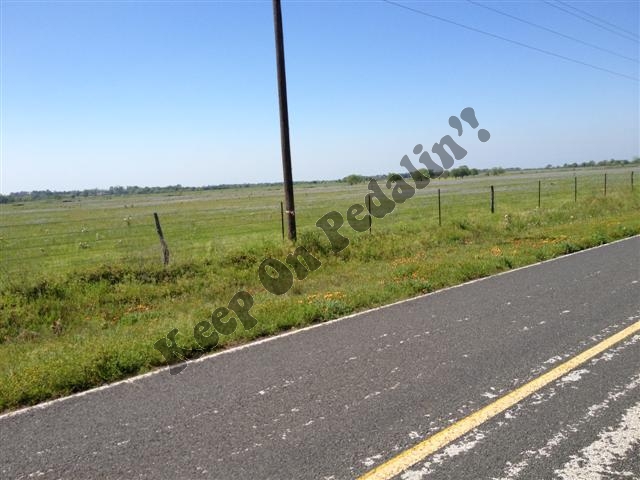 IMG_1907 (Small).jpg