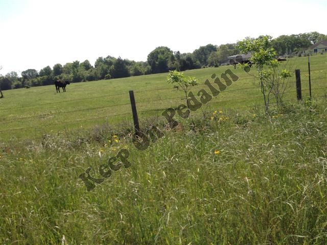 IMG_1896 (Small).jpg