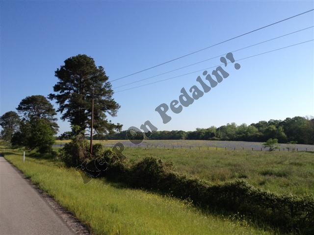 IMG_1886 (Small).jpg