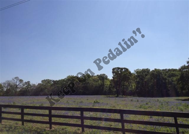 IMG_1918 (Small).jpg