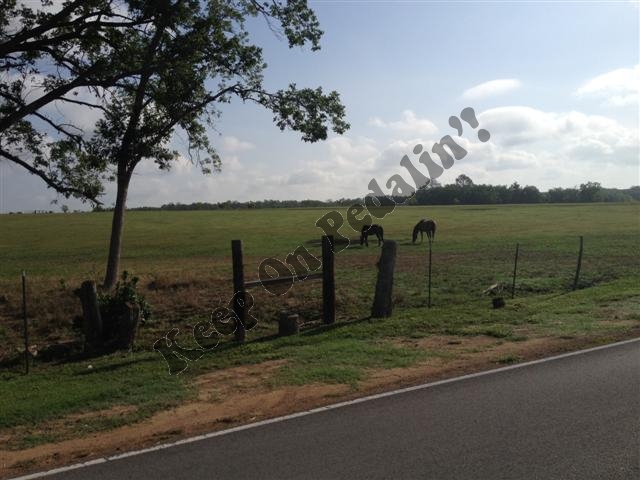 IMG_2684 (Small).jpg