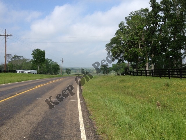 IMG_2007 (Small).jpg