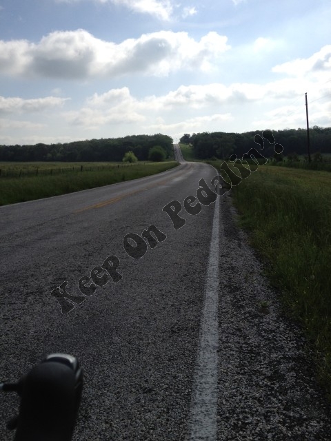 IMG_1984 (Small).jpg