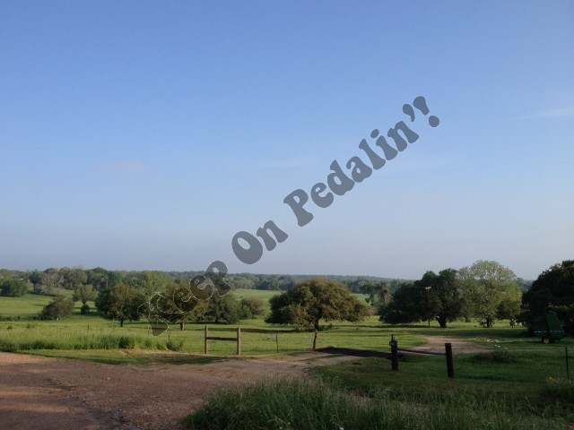 IMG_1954 (Small).jpg