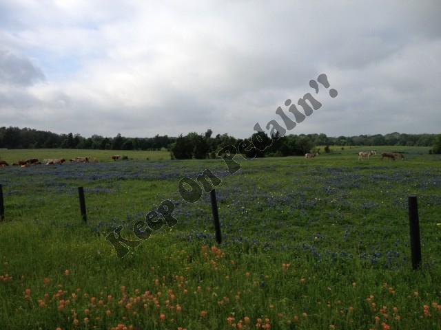 IMG_1969 (Small).jpg