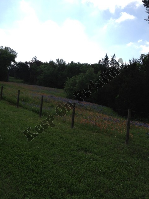 IMG_1987 (Small).jpg