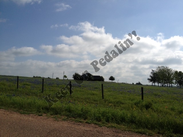 IMG_1988 (Small).jpg