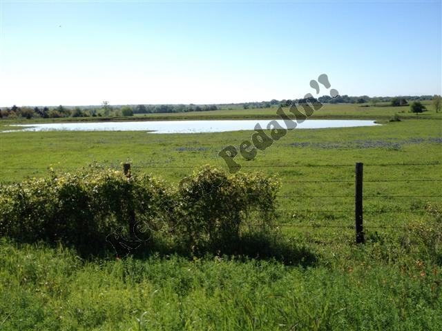 IMG_1819 (Small).jpg