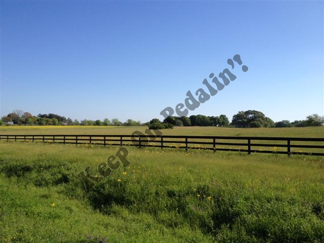 IMG_1807 (Small).jpg