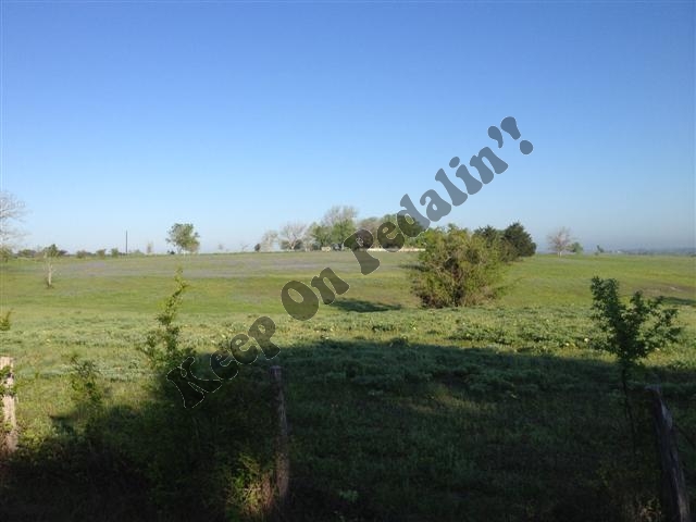 IMG_1787 (Small).jpg