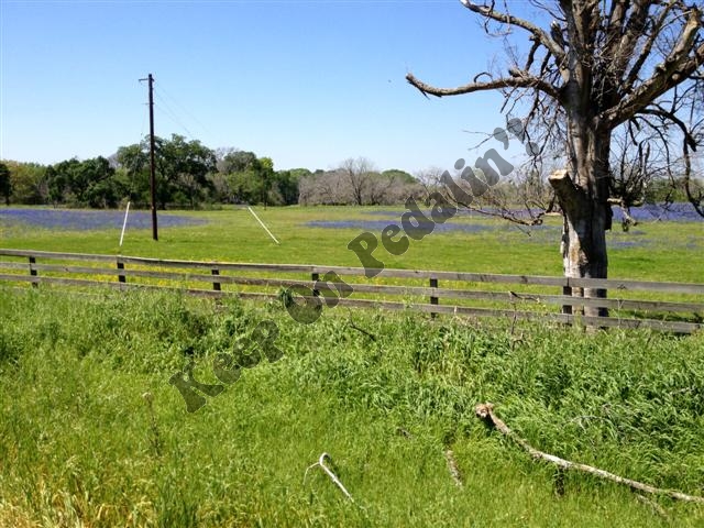 IMG_1851 (Small).jpg