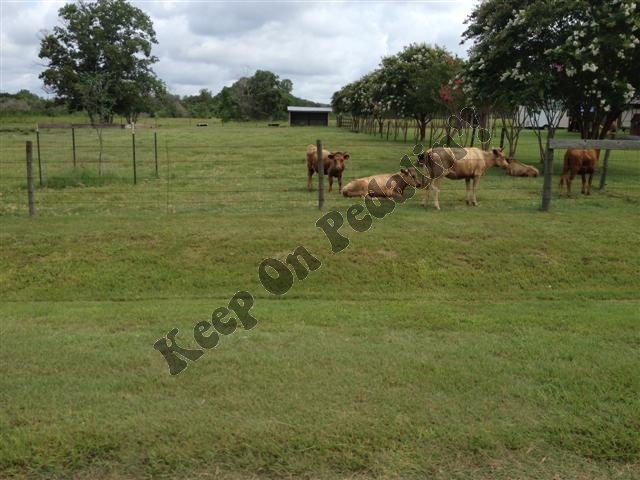 IMG_2762 (Small).jpg