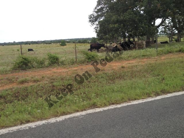 IMG_2756 (Small).jpg