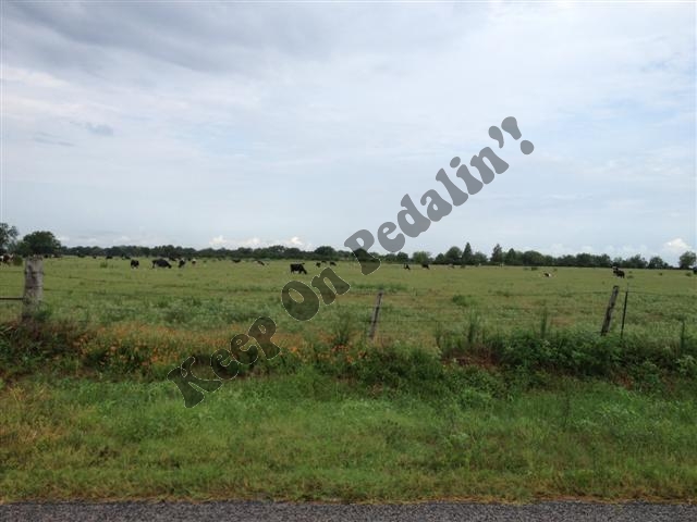 IMG_2741 (Small).jpg