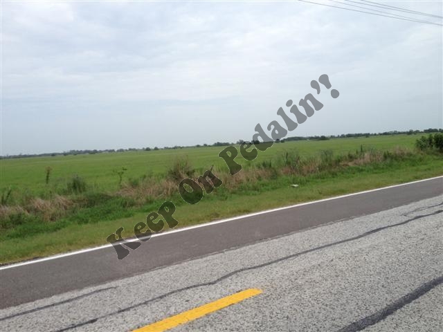 IMG_2841 (Small).jpg