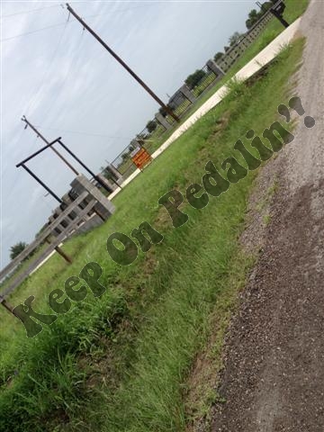 IMG_2835 (Small).jpg