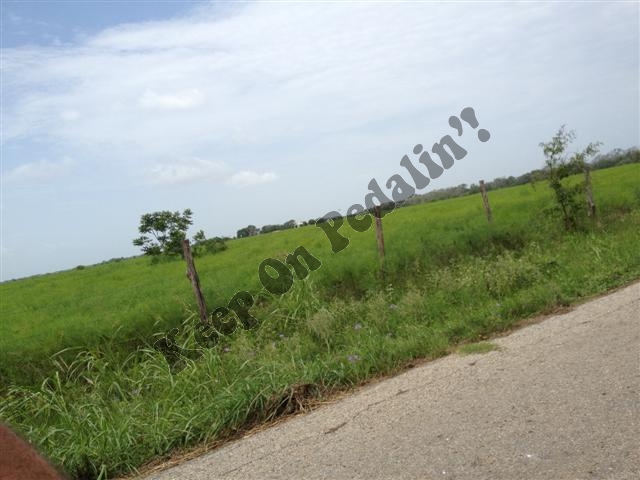 IMG_2837 (Small).jpg