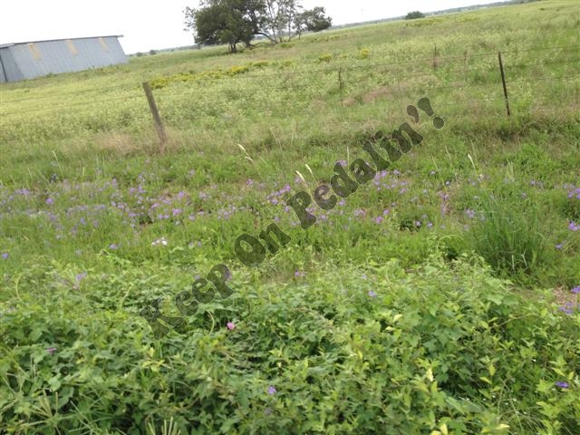 IMG_2840 (Small).jpg