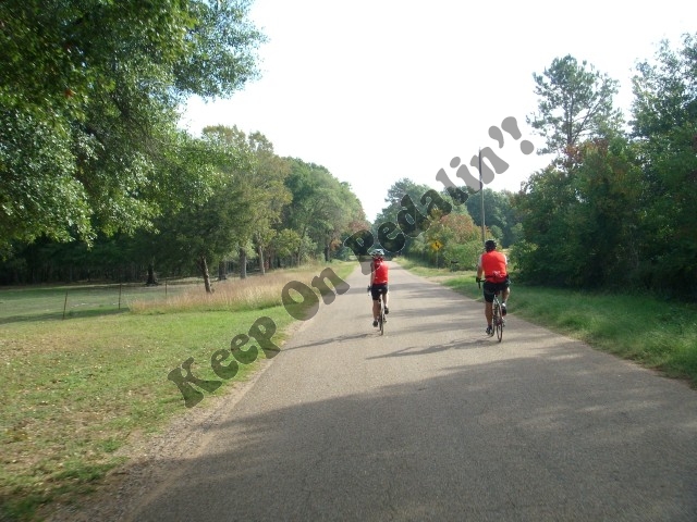 DSCN1263 (Small).JPG