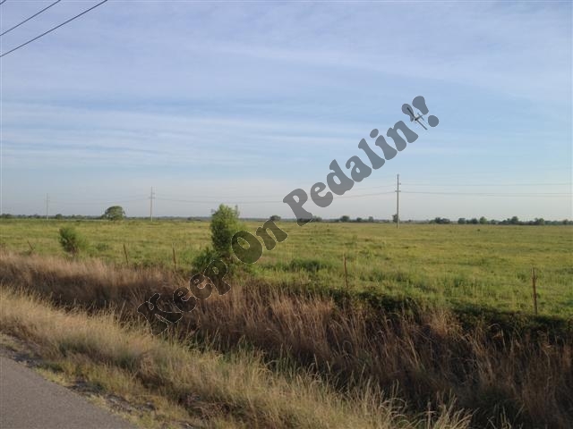 IMG_2574 (Small).jpg