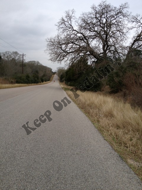 IMG_3414 (Custom).JPG