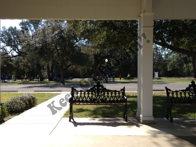 IMG_3432 (Custom).JPG